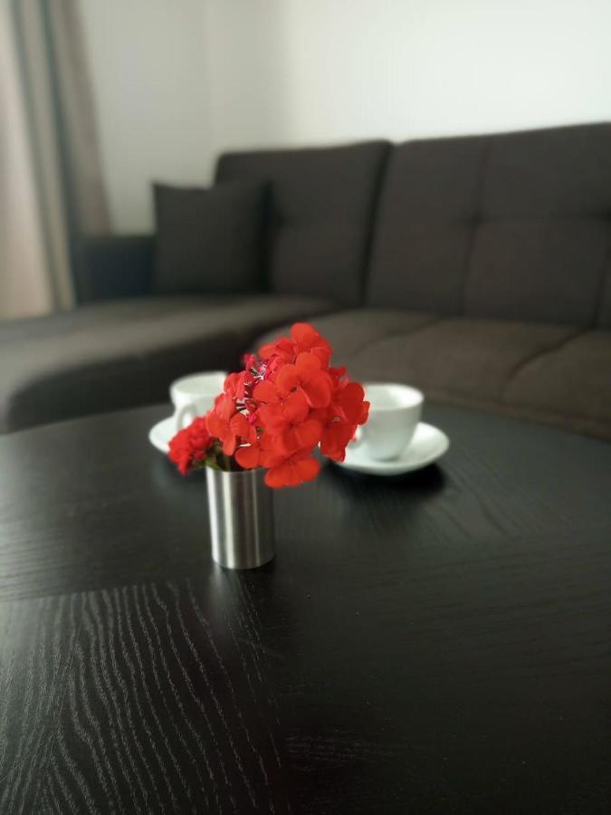 Thea Apartment Agia Marina  Ngoại thất bức ảnh