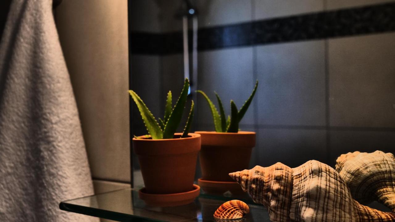 Thea Apartment Agia Marina  Ngoại thất bức ảnh